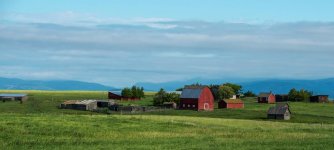 thefarmjun_2013-X2.jpg
