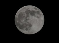 DSC_0576a.jpg