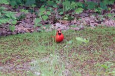 DSC_8437.jpg