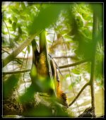 DSC__WLP_0001-9.jpg