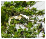 DSC__WLP_0001-13.jpg