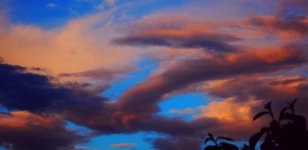 DSC_1767.jpg