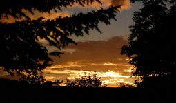 DSC_1764.jpg