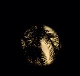 super moon 2.jpg