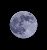 23th June 2013 003.jpg