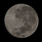 DSC_0702.jpg