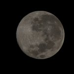 DSC_0701.jpg