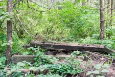 DSC_0792.jpg