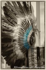 Pow Wow Head Dress.jpg