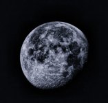 morning moon 1.jpg