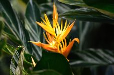 DSC_1168.JPG