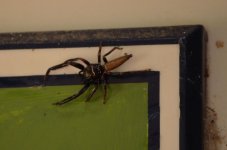 DSC_1179.JPG