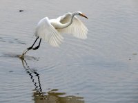 DSCN9234.jpg