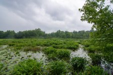 DSC_0860.jpg
