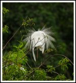 DSC__WLP_0001-34.jpg