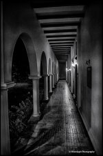 DSC__WLP_0001-45.jpg