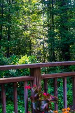 DSC_8442.jpg