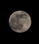 Moon-101.jpg