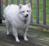 DSC_8473.jpg