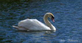 DSC_0553.JPG