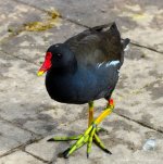 DSC_0561.JPG