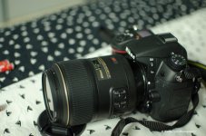 DSC__WLP_0008.jpg