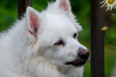 DSC_8480.jpg