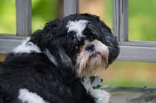 DSC_8481.jpg