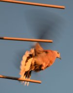 abflug-1.jpg