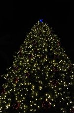 DSC_1261.JPG