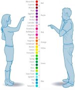 Color.jpg