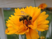 DSCN9319.jpg