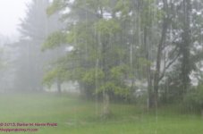 182 Rain-130701-02_01.jpg