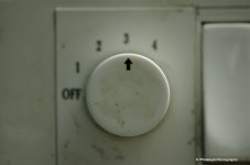 DSC__WLP_0001-2.jpg