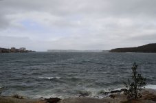 DSC_1341.JPG