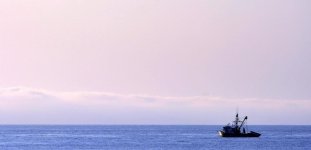 Boat IV.jpg