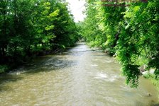 183 Choconut Creek-130702-01_01.jpg