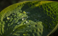 DSC_5148.jpg
