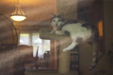DSC_5153.jpg