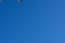 DSC_0820.jpg