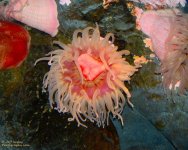DSC_3932.jpg