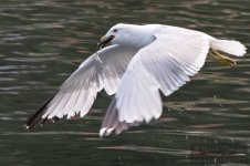 DSC_4133.jpg