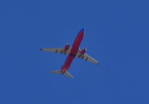 _ROY0862_00001.jpg