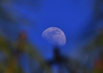 _ROY0872_00001.jpg