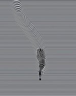 152731201_3632321820220445_2432078429711656974_o.jpg