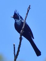 _ROY1428_00001.jpg