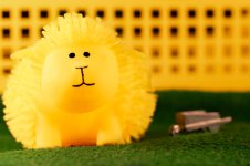 Yellow Ewe Too-.jpg
