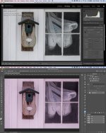 Z6-Lr-Ps-WB-Shift-2.jpg
