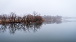 _DSC0549 low res.jpg