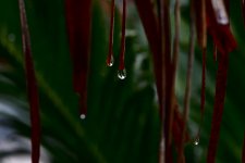 _ROY2762_00001.jpg